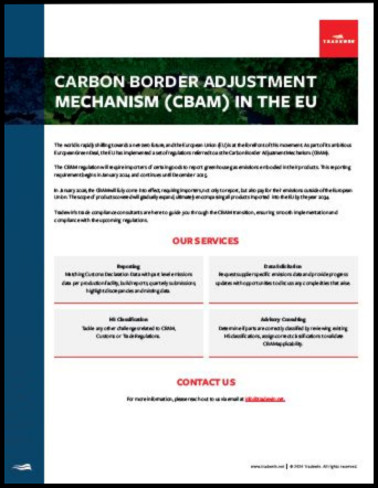 CBAM flyer thumbnail with border